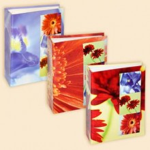 Pioneer 4R200 Fleur-de-lis Pioneer 4R200 Fleur-de-lis